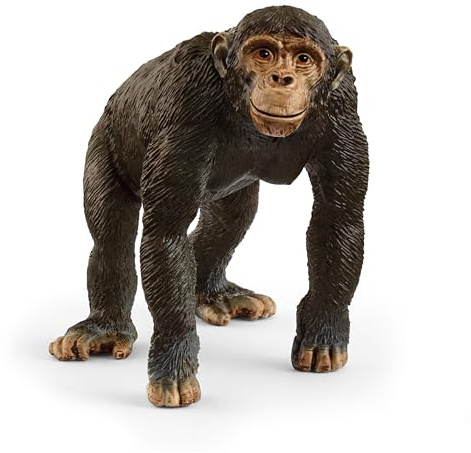 SCHLEICH Wild Life - 3 Chimpanzee Animal Figurine - Realistic Monkey Figure for Boys and Girls - Educational Toys for Imaginative Play for Children - Realistic Jungle Toy for Kids Ages 5+ | 14883