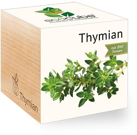 Ecocube Thymian, Bio Samen, Nachhaltige Geschenkidee (100% Eco Friendly), Grow Your Own/Anzuchtset, Pflanzen Im Holzwürfel, Made in Austria
