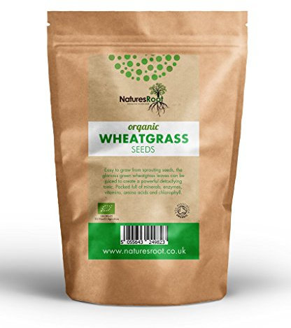 Natures Root Organic Wheatgrass Sprouting Seeds 500g - Superfood | Non GMO | Microgreen Sprouts | Garden Planting | Wheat Grass Juicing | Cat Grass
