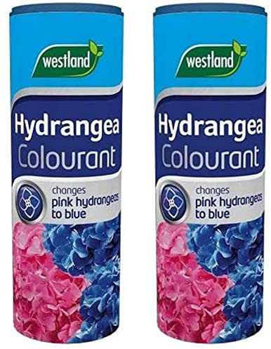 Wolvercroft Garden Centre Westland Hydrangea Colourant (500g) x 2