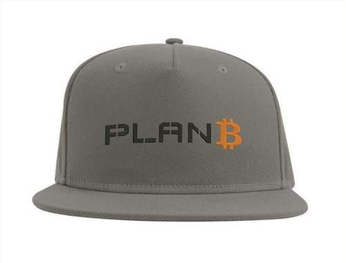 Plan B Digital Crypto Snapback Cap Fullcap Broderad Flexfit Hatt Grå, Grå, one size