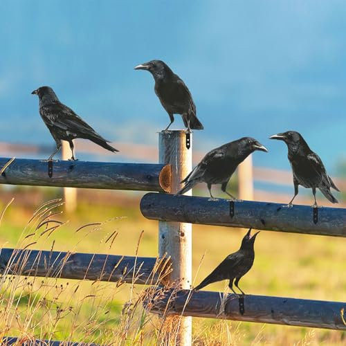 JYBBST Wanddekoration Mit Vögeln Aus Metall,Edelrost Metall Vögel Baumstecker Deko Gartendeko Für Draußen, Heimdekoration(C)