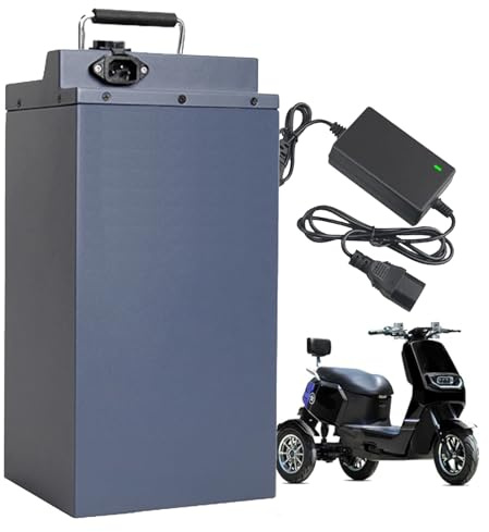 WSDAV Batteria per Moto 60V, Disponibile con capacità 15Ah, 20Ah, 25Ah, 30Ah, 35Ah, 40Ah, 45Ah, 50Ah, 55Ah, 60Ah, 65Ah, al Litio, per Motori 0 a 3900W, con Caricabatterie Incluso.,60v65ah