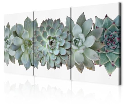decomonkey Wandbilder Pflanzen 120x60 cm 3 Teilig Wandbild Groß Wohnzimmer | Leinwandbild XXL, Deko, Schlafzimmer, Büro, Wanddeko, Leinwand, Pictures For Wall, Poster, Modern, Agave, Aloe, Vera, Botanik