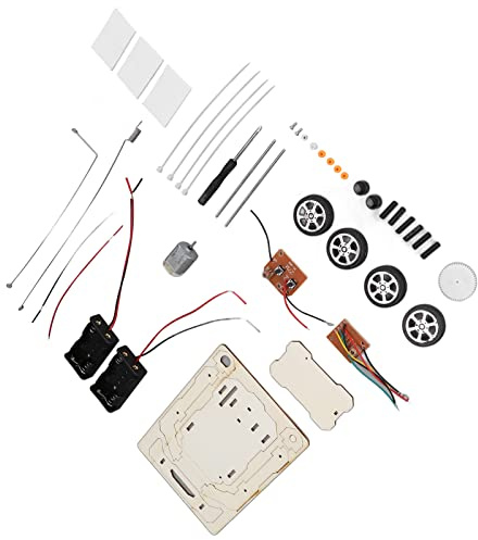 TOPINCN Kit de Modelo de Automóvil con Control Remoto de Madera para Bricolaje, Manualidades Educativas Científicas, Construya su Propio Automóvil RC con Kit de Construcción de Ciencia