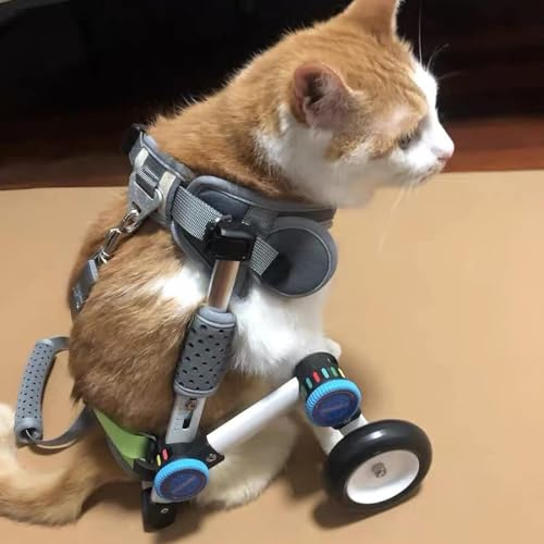 ENHEN Rollstuhl Hunde Verstellbarer Leichtes Hund Rollstuhl Kleiner Katzen -Haustierwagen mit Weichem Gurt Unterstützung Von Handicap Tier Schwache Hinterbeine Rehabilitationstraining Size : S Size