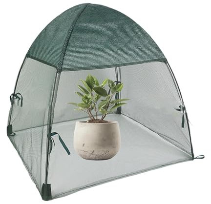 Transparentes Mini-Gewächshaus – Kleine Pflanzenwachstumsabdeckung, Beweglicher Gartenschutz | Pflanzenschutz, Transparentes Gewächshaus, Pflanzenwachstum Und Kleine Gärten Für Gemüse, Tomaten Und Blu