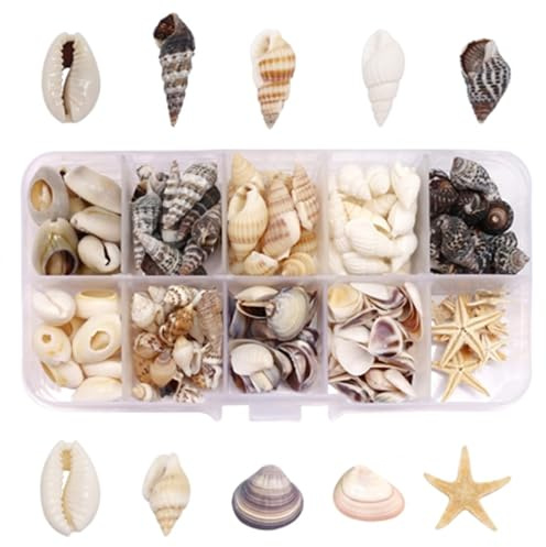 210 Pcs Small Sea Shells for Crafting, Natural Seashell Decorations | Includes starfish and conch, assorted craft shells for bracelets, vase fillers, DIY home decor, natural beach accessories