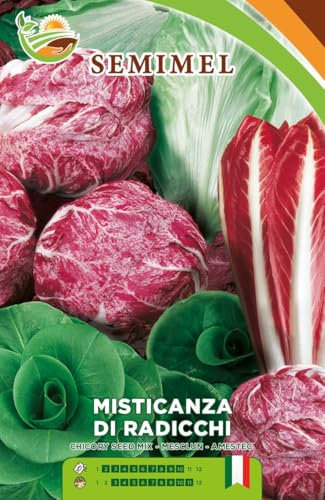 Misticanza di Radicchi e Cicorie - Varietà Medio-Precoce per Insalate, Gusto Assortito e Rivegetazione Rapida 3 confezioni