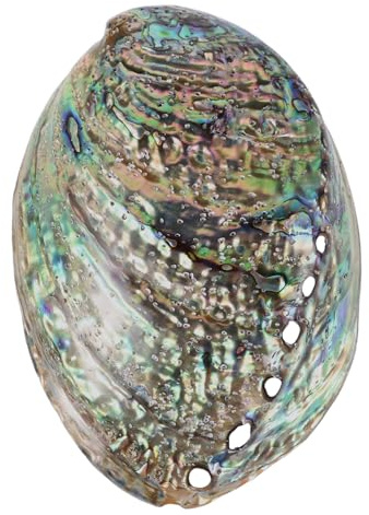 Amosfun Coquillage Naturel Brillant d'Ormeau 10-12 CM Accessoires de Bijoux DIY Décoration de Bijoux et Pendentifs Coquilles d'Ormeau Polies pour Colliers et Bracelets