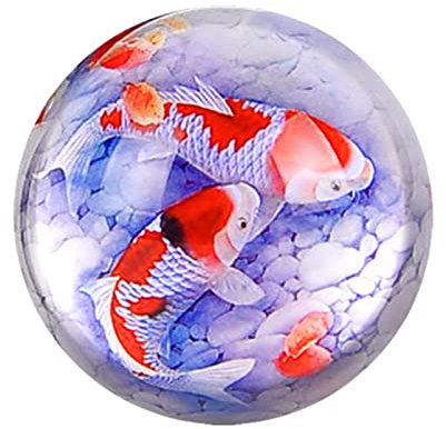 Kristallkugel Roter Karpfen Halbkugel Glaskugel Briefbeschwerer Heimdekoration Ornamente Kugel Miniatur Kreative Geschenke
