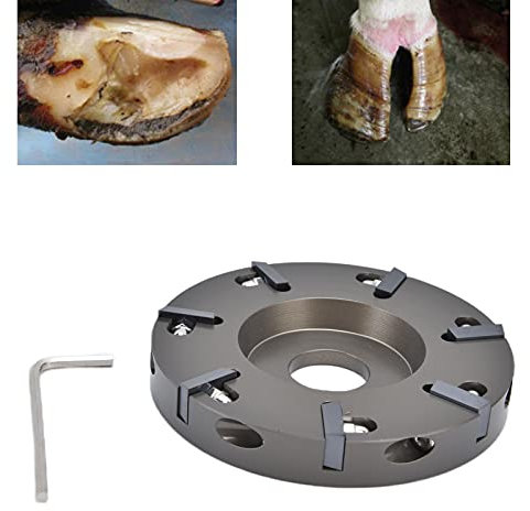 Topyond Disco Eléctrico Para Recortar Pezuñas - Placa Para Recortar Pezuñas De Vaca - Herramienta Cortadora Para Recortar Pezuñas Para Ganado, Ovejas, Ganado, Caballos - Herramienta De Reparación De P