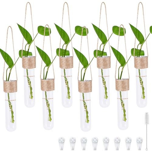 Miawtro Vase Tube à essai 8 pièces, Vase Suspendu au Mur, Tube à essai avec Corde de Suspension, Verre Jacinthe, pour Suspendre des Fleurs, Peut être utilisé comme décoration de fenêtre