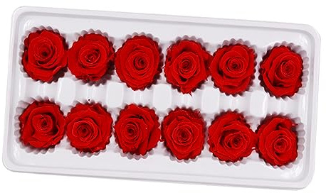 MAGICLULU 1 Scatola Regalo Rose Stabilizzate Vere Rosse Eternali Mai Appassite Decorazione Nozze San Fiori Conservati Vera Rosa Per Casa E Festa