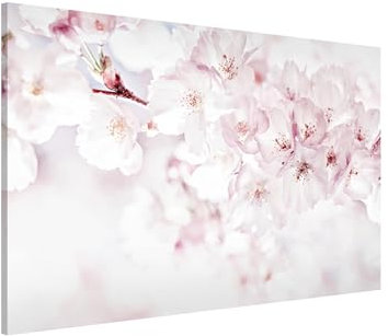 Magnettafel Pinnwand für Magnete Blumen Floral Magnetboard - Magnetwand Made in Germany - Kirschblüte Landhaus Notiztafel rosa Küche Flur Büro Visionboard WBMT_6840 (90x60cm)