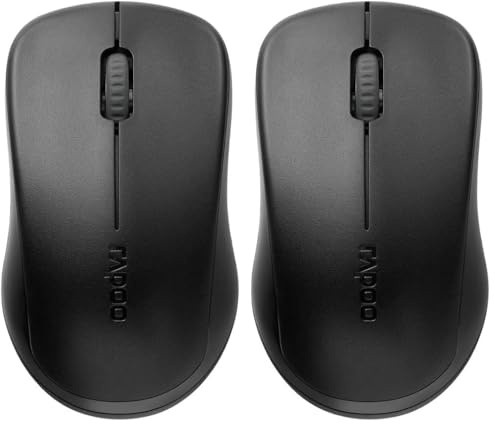 Rapoo 1620 kabellose Maus Wireless Mouse 2.4 GHz Computermaus 1000 DPI Sensor 9 Monate Batterielaufzeit ergonomisch für PC & Mac schwarz, Regulär (Packung mit 2)