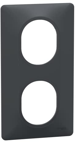 Schneider Electric - Ovalis - Plaque de finition - 2 postes Vertical - entraxe 71 mm - Anthracite - S340724