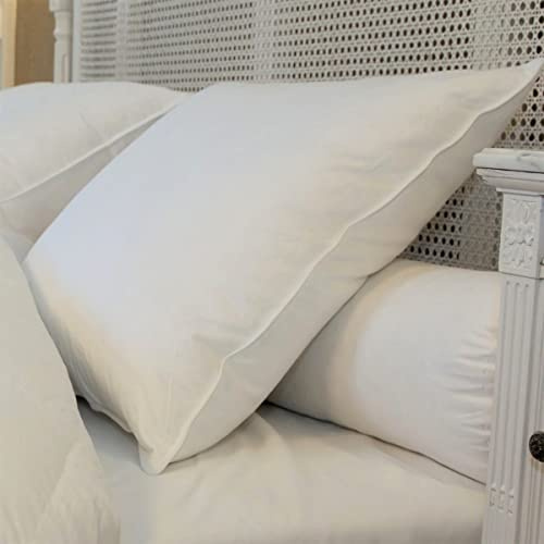 CASTEX - Oreiller Mi-Ferme Plume-Duvet 65x65