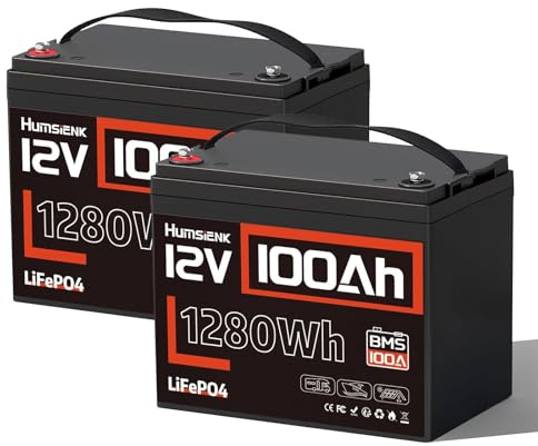 HumsiENK Lot de 2 Batteries Lithium 12V 100Ah LiFePO4, 1280Wh, BMS 100A Intégré, Groupe 24 Compactes et Légères, Remplace AGM, 15000 Cycles, pour Camping-Car, Solaire, Bateau
