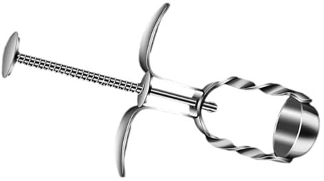 PRETYZOOM Strumento per Snocciolare Le Ciliegie Strumento per Rimuovere Il Nocciolo delle Ciliegie in Metallo per Ragazzi E Ragazze