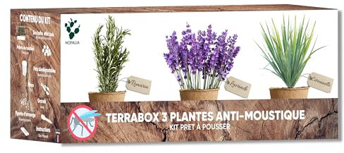 Kit piante antizanzare - Citronella, lavanda e rosmarino - repellente naturale ed ecologico - regalo originale fai da te - giardino interno ed esterno - decorazione casa - made in France