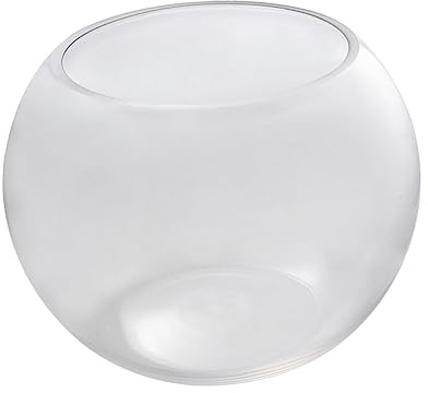 Milisten Aquarium Rond Verre Globe Aquarium pour Terrarium Design Écologique pour Maison Et Jardin