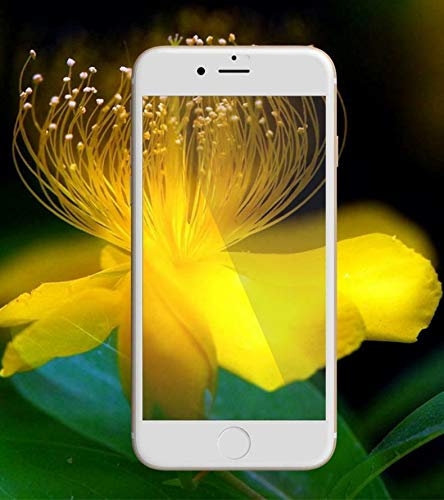 JOWAY Protective Film 3D Blu-Ray Tempered Glass Blue Light iPhone 7Plus