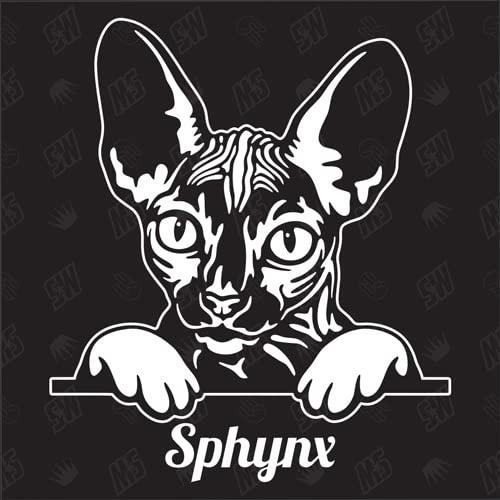 speedwerk-motorwear Sphynx Sticker, Aufkleber, Katzenaufkleber, Cat, Autoaufkleber, Kitten, Kater, Kätzchen, Auto, Tiere, Haustier (AUCH MIT Wunschname MÖGLICH)