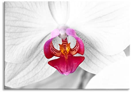 Pixxprint Glasbild, Wandbild aus Echtglas, anmutige Orchideen Blüte, 100x70 cm, inkl. Aufhängung und Abstandshalter