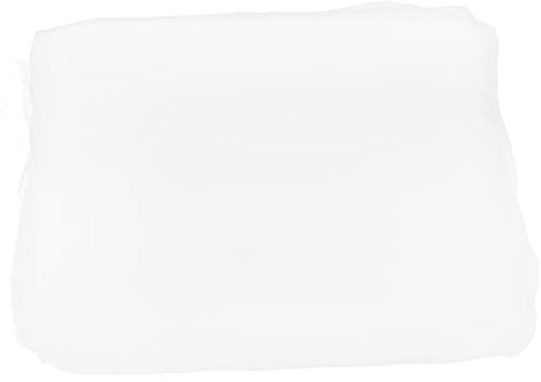 ibasenice Filet Anti-Oiseaux Résistant pour Jardin Protection Insectes Et Oiseaux Filet De Couverture pour Plantes Et Légumes Maille Nylon Légère Et Facile à Installer