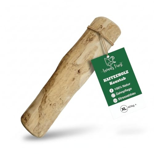 Kaffeeholz Kaustab für Hunde – 100 % natürlich & nachhaltig | Fördert Zahngesundheit & reduziert Zahnstein | Splitterarmes, langlebiges Kauspielzeug für kleine, mittlere & große Hunde (XL)