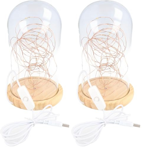 goobay 60340 Glasglocke mit LED-Micro-Lichterkette/dekorative Lampe/warmes, beruhigendes Licht/feierliche Beleuchtung für Winterdeko, Weihnachten, Innendekoration/Echtholz, Glas, mit Schalter