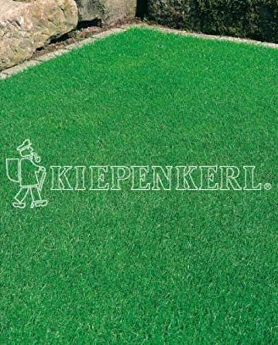 Kiepenkerl RSM 1.1.2 Zierrasen Fein 10kg