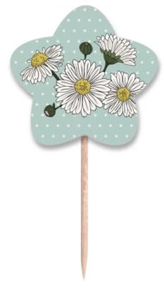 Zahnstocher mit weißen Chrysanthemen-Flaggen, Stern-Etikett, Cupcake-Picks