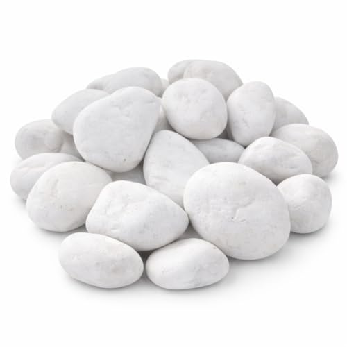 Vegara Stone Piedra Jardín Decoración Canto Rodado Blanco Puro 2-4 cm (3 kg)