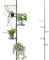 bremermann Étagère à Fleurs télescopique avec 4 Plateaux et tuteur - Colonne à Fleurs avec Hauteur d'installation de 140 à 290 cm (Gris)