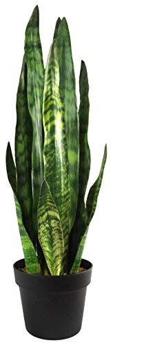 Leaf Kunstpflanze, Blätter, 70 cm, Zeylanica Sansevieria
