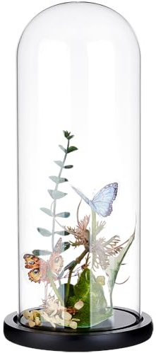 BENECREAT 4.6x12inch Eternal Transparent Flower Glass Cover, Glass Display Dome Cloche Jar with Black Solid Wood Base for DIY Flower Craft