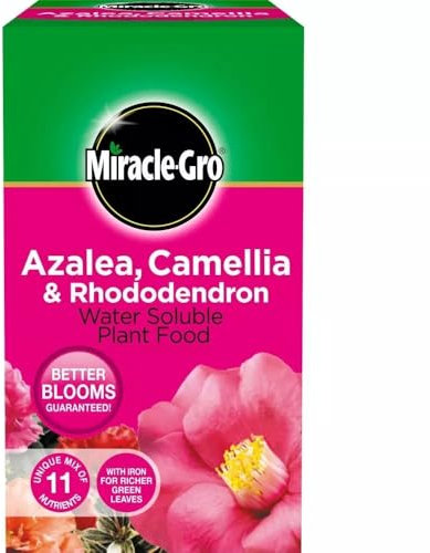 Miracle Gro Soluble Ericaceous Plant Food 500g Fertiliser for Azalea, Camellia, Rhododendron, Blueberries & Acid-Loving Plants Fast Growth, Greener Leaves & More Blooms Pink - 1 Pack (1000g)