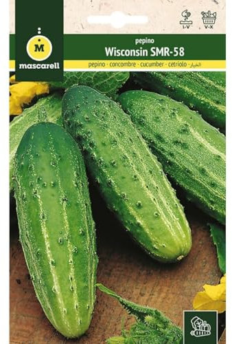 Mascarell Semillas, PEPINO, Semillas Huerto, PEPINO WISCONSIN SMR-58, Crea tu Propio Huerto Urbano y Cultivo en Casa, Plantas Hortícolas, 5 Gramos