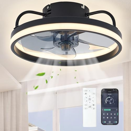 Ventilateur Silencieux Plafond Avec Lumière 33/50cm,Avec éclairage et Télécommande,6 Vitesses,LED dimmable 55 W,Application Intelligente,éclairage Silencieux Et Moderne Pour Salon,Chambre (Noir 33cm)