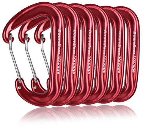 iBasingo 2/4/6 Aluminium Karabiner 12KN Schwerlast Karabiner D Typ Haken Clip Leichte Nonlocking Karabiner Rucksack Schnalle Haken Wiregate Quickdraw Clips Camping Hängematte Wandern Angeln Werkzeug