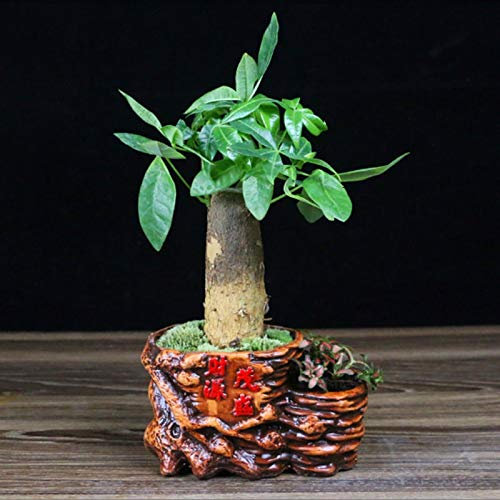 NYKK Maceta Planta de Escritorio de la Planta Verde Olla de Terracota de cerámica Tiesto Tiesto Tiesto Pequeño árbol Rich Tiesto Maceta Creativa