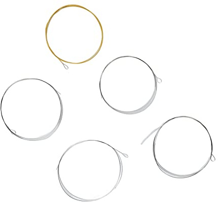 Drfeify Langlebiger 5 -String -Banjo String Kit Edelstahldraht für Vollständige Resonanz und Glatte Übergänge für Professionelle Leistungen