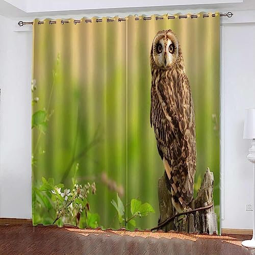 Schattierung Vorhänge Tierische Eule 3D Druck 2Er Set Isolierung Schalldichte Kinder Gardinen Blickdicht Mit Ösen Vorhang Fenster Für Wohnzimmer Schlafzimmer Balkon 140 X 160 cm -4Y5V-S1X