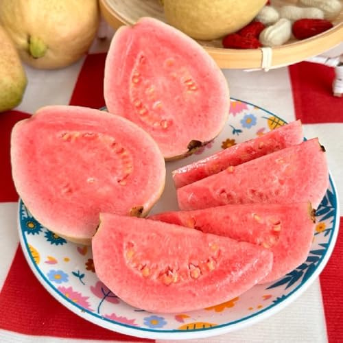 Semi di di guava, per il giardino da giardino roccioso semi frutteto per il da nani serre balcone colonnare resistente colonnari 15pcs