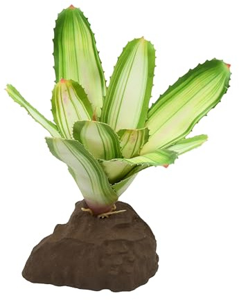 Lucky Reptile Scape it Easy – Bromelia Neoregelia vit ca 20 cm – bottenbotten för terrarier