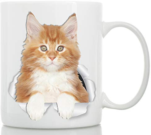 Winston & Bear Tazza Gatto Maine Coon Rosso - Tazza da Caffè in Ceramica soggetto Gatto Maine Coon - Il Regalo Perfetto con soggetto Gatto Maine Coon Arancione per Amanti dei Gatti (330 grammi)
