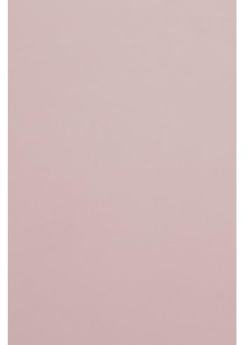 Netuno 20x farbiges Tonpapier Hell-Rosa DIN A4 21 x 29,7 cm 120g Malmero Rose Antique Bastelpapier rosa töne farbig bedruckbar Farbpapier Kartonpapier bunt hochwertig für Broschüren Einladungen