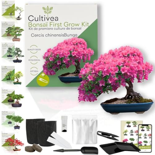 CULTIVEA Kit First Bonsai – Kit Completo con Semi, Accessori e Guida – Bonsai da Coltivare | Idea Regalo Originale (Bonsai Cercis Chinensis)